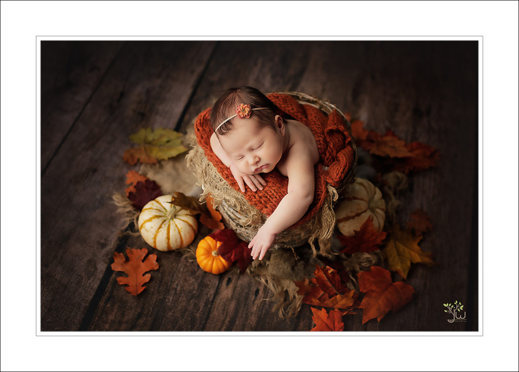 Lakewood newborn photographer
